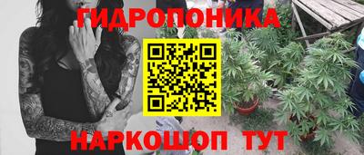 сатива Комсомольск-на-Амуре