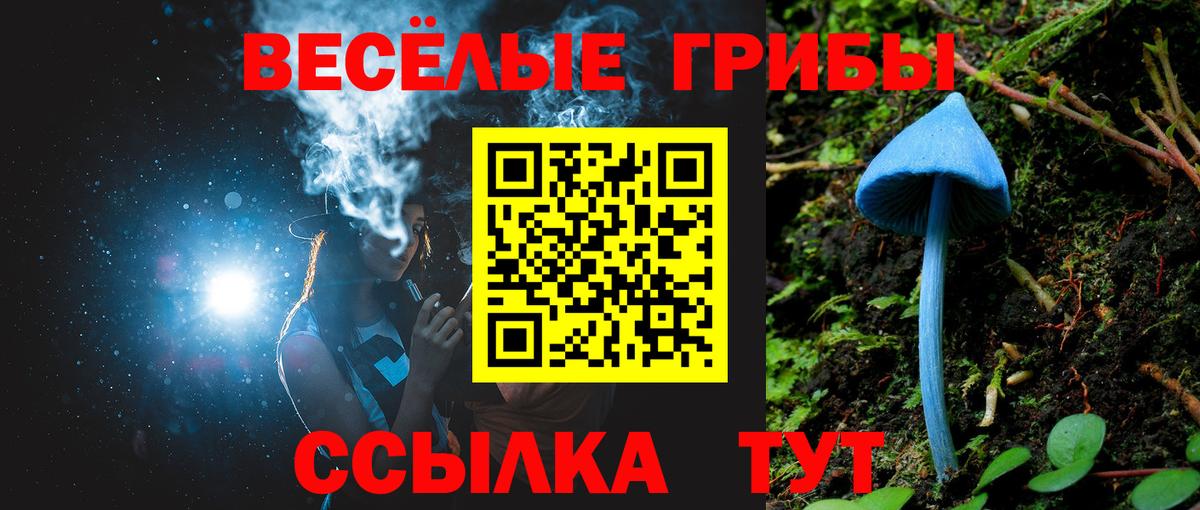 Галлюциногенные грибы Magic Shrooms  Псилоцибиновые грибы Cubensis  Юрга  Вход с VPN 